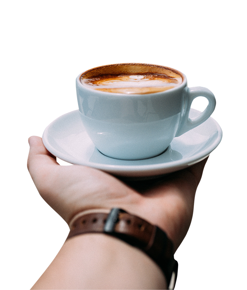 hand with coffee cup png, hand with coffee cup PNG image, transparent hand with coffee cup png images
